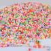 2300ML Foam Balls Polystyrene Beads for Slime & DIY Crafts - 2-3mm Colorful Foam Beads for Kids - Party Decoration - Buy Online on GoSupps.com