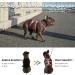 Huntboo Break-Proof Dog Harness for Large Dogs | Reflective Adjustable Breathable Vest with Padded Handle - Perfect for Walking & Running (Red L) - Buy Online on GoSupps.com