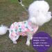 Cyeollo Lightweight Fruit Pattern Dog Dress for Small Dogs | Soft Breathable Pet Clothes for Spring & Summer - Buy Online on GoSupps.com