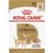 Royal Canin Chihuahua Adult Wet Dog Food 3 oz (Pack of 12) - Breed Health Nutrition Loaf in Sauce - Buy Online on GoSupps.com