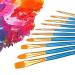 Amazon Basics Nylon Paint Brush Set - 10 Sizes for Acrylic, Oil, Watercolor - Buy Online on GoSupps.com