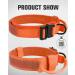 Joyal Tactical Dog Collar for Medium-Sized Dogs | Durable Orange Collar with Handle & QR Code | Shop Now! - Buy Online on GoSupps.com