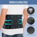 Back Support Belt for Lumbar Spine - Breathable Adjustable Back Ribbon for Men & Women | Posture Correction - Size L (95-115cm) - Comfortable & Durable - Buy Online on GoSupps.com