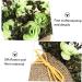 TOPBATHY Artificial Roses 2pcs Potted Roses Bonsai Pot Office Mini Linen Rose Bonsai Greenx2pcs 12X10CMx2pcs - Buy Online on GoSupps.com