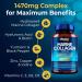 Mayfair Nutrition Marine Collagen Capsules 1470mg Complex - High Strength with Hyaluronic Acid, Biotin, Turmeric, Vitamin C, E, B2, D3 & Minerals - Women's Hydrolyzed Supplements - Made in UK - Buy Online on GoSupps.com