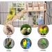 TeTupGa Hamster Bird Perches Cage Toys - Wooden Platform with Climbing Ladder and Swing - Ideal for Green Cheeks, Lovebirds, Chinchillas, and Budgies - Buy Online on GoSupps.com