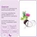 HERBESAN QUARTET WELLNESS OF THE FOIE Black Radish Artichoke Milk Thistle Rosemary French Laboratory 20 ampoules of 10 ml - Buy Online on GoSupps.com