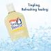 Sea Breeze Deep Cleaning Facial Astringent 10oz - Pack of 3 - Buy Online on GoSupps.com