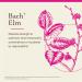 Bach Original Flower Remedies Elm - Be Efficient - Natural Homeopathic Flower Essence for Emotional Balance - Vegan Gluten Free Sugar Free - 20mL Dropper - Buy Online on GoSupps.com