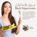 Premium Whole Black Peppercorns - 500g Resealable Pouch | Freshly Packed Black Peppercorns for Pepper Grinder Refill | Bold Taste - 500 Grams - Buy Online on GoSupps.com