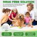 Calming Dog Diffuser | Pheromone Starter Kit for Anxiety Relief | Pet Supplies for Anxious Dogs | UK Plug | 48ml - Buy Online on GoSupps.com