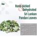 Pandan Leaves Natural Dehydrated 25g Handpicked not Pandan Leaves Dried or Dried Pandan Leaves Essential Spices for South Asian Dishes - Superior Flavour Sri Lankan Curry Spices by Island Source - Buy Online on GoSupps.com