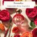 Tocca Women's Perfume Gia Fragrance 1.7oz (50 ml) - Warm Floral Pink Peppercorn Tangerine Turkish Rose - Hand-Finished Bottle 1.7 Fl Oz (Pack of 1) - Buy Online on GoSupps.com