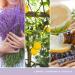 Yankee Candle Vanilla Cupcake & Lemon Lavender Bundle | 150-Hour Great Jar Fragrance Candles | International Shipping - Buy Online on GoSupps.com