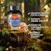AMPEXT Maitake Mushroom Extract - Premium Quality, Only Fruiting Bodies, Source of Beta-Glucans, Heart & Cardiovascular Welness, Vitality & Resilience, Memory Booster, Immune Support, 90 Veg Caps. - Buy Online on GoSupps.com