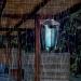 Tmactime Electric Insect Destroyer - 20W Mosquito Trap Lamp with UV Light 4500V Non-Toxic Effective for 100m  - Buy Online on GoSupps.com