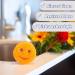 Scrub Daddy Colors Clutch - Smile Sponge Kitchen Cleaner | Odor-Resistant Dishwasher-Safe Etching Sponge for Pots & Dishes - Buy Online on GoSupps.com