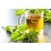 Organic Nettle Tea - 8oz | Wild Harvested | USDA Certified | Loose Leaf Urtica Dioica Tea - Buy Online on GoSupps.com