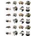 24 edible PRE CUT badger badgers british wildlife kids childrens party decorations round wafer paper 4.2cm - Buy Online on GoSupps.com