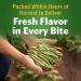 Del Monte Fresh Cut Canned Vegetables Variety Pack - Green Beans and Whole Kernel Corn, 6-Pack - Buy Online on GoSupps.com