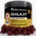 Shilajit Gummies - Himalayan Shilajit Gummies for Men & Women 1000mg - Sugar Free Shilajit Gummies - Natural Shilajit for Healthy Aging Immune Support & Energy Supplements - 60 Count 60 Count (Pack of 1)