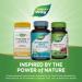 Nature's Way Resveratrol-Forte Protects from Free Radicals* 60 Softgels - Buy Online on GoSupps.com