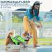 Alagirls Dog Security Floatation Vest for Boating & Swimming - Size L (53-72cm) - Green - Buy Online on GoSupps.com