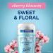 Cherry Blossom Deodorant for Women - Aluminum Free 2.4 oz (Pack of 3) - Buy Online on GoSupps.com