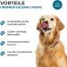 Anicare Premium Joint Care Chews for Dogs | Glucosamine Chondroitin MSM & Green Lipped Mussel - Top Choice for Joint Health - Buy Online on GoSupps.com