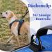 Buy Rabbitgoo Adjustable Dog Harness for Large Dogs - No-Choke Design Soft Padded Reflective Anti-Training with Handle - Blue Large (1 Pack) - Buy Online on GoSupps.com