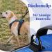 Rabbitgoo Adjustable Dog Harness for Large Dogs - No Choke Anti-Pull Design Soft Padded Reflective Chest Harness Blue XL - 1 Pack - Buy Online on GoSupps.com
