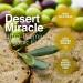 Desert Miracle Cold Pressed Moroccan Olive Oil | Organic High Polyphenol EVOO from Morocco | Gold Medal Award-Winning Rich Polyphenol Extra Virgin Olive Oil - Buy Online on GoSupps.com