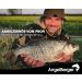 Buy Angel-Berger Economy Pack Rubber Stoppers - 120 Silicone Float & Line Stoppers for Fishing - International Shipping Available - Buy Online on GoSupps.com