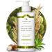 Tree to Tub Unscented Shea Butter Body Lotion for Dry Skin - Fragrance Free Sensitive Skin Lotion for Women & Men  Vegan Body Moisturizer w/Organic Aloe Vera  Cocoa Butter  Natural Colloidal Oatmeal Unscented 8.5 Fl Oz (...