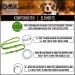 DDOXX Reflective Nylon Dog Leash - 2m 3-Way Adjustable for All Dog Sizes - M Green - Durable & Stylish Pet Accessory - Buy Online on GoSupps.com