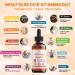 Liposomal Vitamin B Complex B Complex Liquid for Superior Absorption with B1 B2 B3 B5 B6 B7 B9 & Methylated B12 Liquid B Complex for Energy Focus Brain & Heart Health Vegan Non-GMO 2 fl oz - Buy Online on GoSupps.com