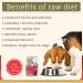 SmartBarf - Dog Food Toppers (500g) with Essential Nutrients - Vegetable Seed & Fruit Mix - Prebiotics for Dogs Dog Gut Health Supplement Raw Food Mix Rich in Minerals & Vitamins (Pack of 1) 500 g (Pack of 1) - Buy Online on GoSupps.com