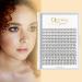 Premium Individual False Eyelashes - 240 Pieces 10D 0.10C Mix 8-14mm - Reusable DIY Cluster Lashes - Buy Online on GoSupps.com