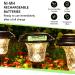 Henreepow 12-Pack Rechargeable AA Solar Batteries - Ni-Mh 1.2V 600mAh Pre-Charged for Garden & Landscape Lights - Buy Online on GoSupps.com