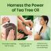 Honeyskin 100% Pure Tea Tree Oil - Hair Growth & Scalp Treatment Essential Oil for Face Hair Skin - 1 fl. oz (29ml) - Aromatherapy Diffuser - Buy Online on GoSupps.com