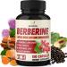Berberine Supplement 4700mg - 5 Months Supply - High Potency with Ceylon Cinnamon, Turmeric - Supports Immune System, Cardiovascular & Gastrointestinal Function - Berberine HCl Supplement Pills