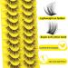 Pleell Cat Eye Lashes Wispy D Curl Cluster Lashes - 140 Pcs Natural Look False Eyelashes - Buy Online on GoSupps.com