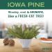 Mrs. Meyer's Iowa Pine Hand Soap with Essential Oils - Biodegradable Formula - Limited Edition 12.5 fl. oz - Buy Online on GoSupps.com