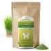 500 g Organic Wheat Grass Powder from GERMANY, Raw Quality, from Young Herbs, No Additives, for Green Smoothies