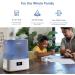 LEVOIT 6L Large Tank Top-Fill Cool Mist Humidifier for Bedroom with Smart App & Alexa Control - Essential Oil Diffuser - 60H Runtime - Blue - Buy Online on GoSupps.com