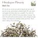 Himalayan Finest Flowery Tea Nepal - Nepalese Pure Loose Leaf Tea - Similar To Darjeeling But More 100g Himanlayan 100 g - Buy Online on GoSupps.com