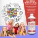 Buried Treasure Added Attention for Kids - GABA, DHA & Herbal Blend for Brain Health - 16.54 oz - Buy Online on GoSupps.com
