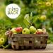 Mitoback Fiber Set for Baking & Cooking | 3x250g Nutrient-Rich Low Carb Keto Vegan Gluten-Free - Bamboo Apple & Potato Fiber Alternative - Buy Online on GoSupps.com
