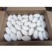 Empty Cardboard Deodorant Containers 75g (2.5 oz) - Oval Shape - Push-Up Style (30-Pack White) 30-Pack White
