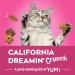 Friskies Party Mix Cat Treats California Dreamin' Crunch Real Chicken - 170 g Pouch (1 Pack) California Dreamin' Crunch 170 g (Pack of 1) - Buy Online on GoSupps.com
